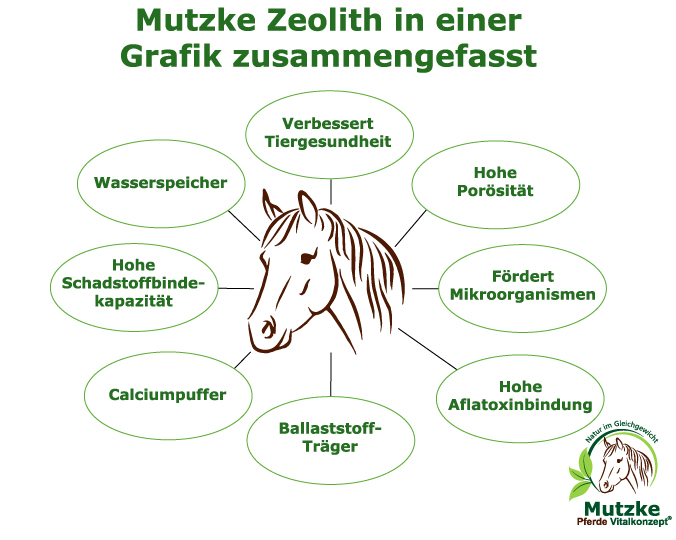 Pferde Vitalkonzept - Mutzke Zeolithgrafik
